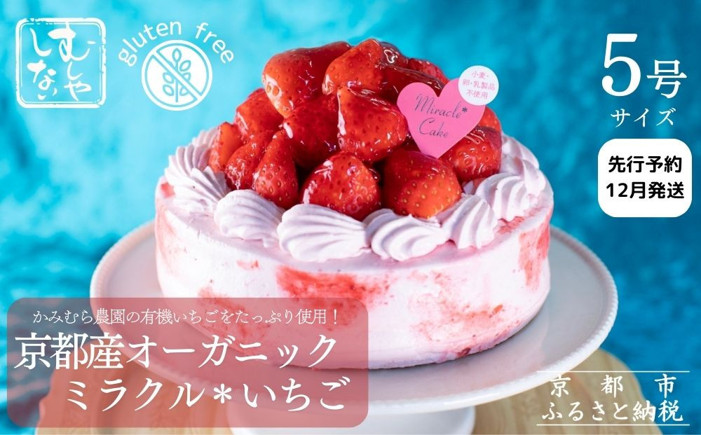 【先行予約】《2025年12月発送》【むしやしない】京都産オーガニックミラクル＊いちご(5号：4～6名様向け)［ 京都 一乗寺 豆乳 クリスマスケーキ グルテンフリー ヴィーガン アレルギー対応 人気 おすすめ 苺 ホールケーキ お取り寄せ 通販 ふるさと納税 ］