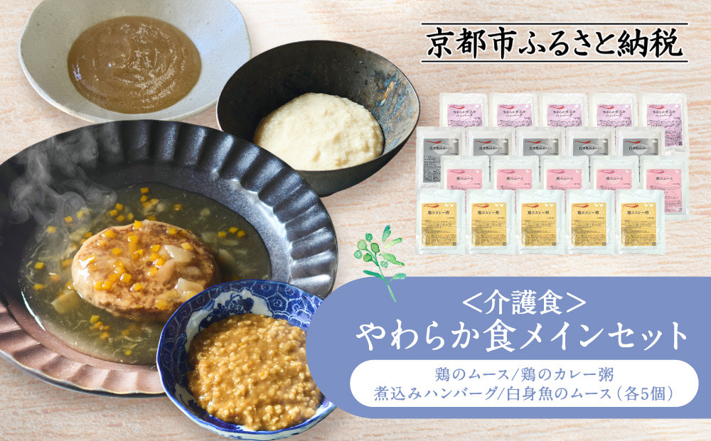 介護食 やわらか食 メインセット 鶏のムース/鶏のカレー粥/煮込みハンバーグ/白身魚のムース 各5個｜レトルト 介護食品［ 京都 レトルト食品メーカー 人気 おすすめ レトルト 食事介助 非常食 保存食 グルメ お取り寄せ 通販 送料無料 ふるさと納税 ］