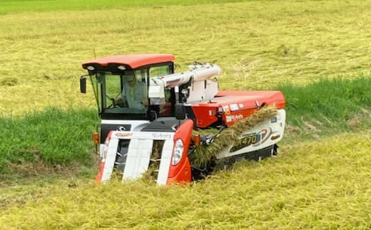 【令和7年度産】衣川の男米コシヒカリ 玄米 5kg FCDB041