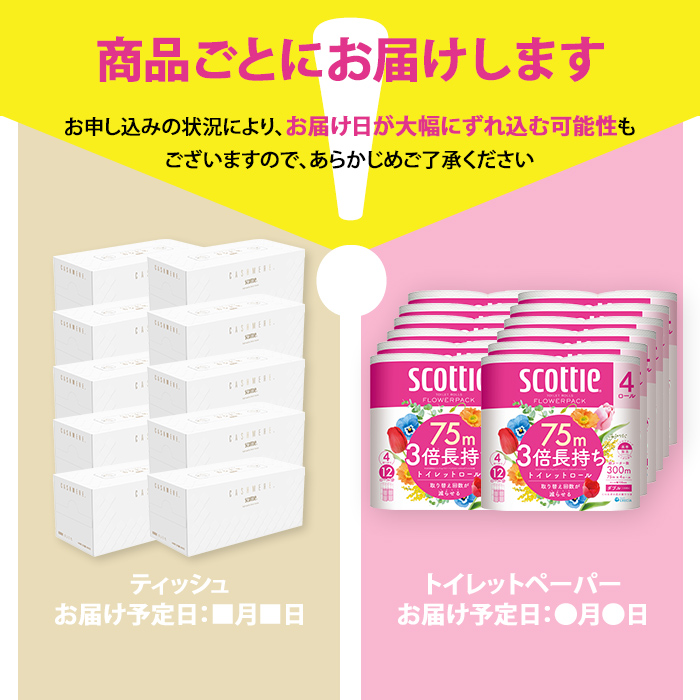 ＜ボックスティッシュ＆トイレットロールセット＞スコッティ カシミヤエンボス 10箱＆スコッティ フラワーパック 3倍長持ち ダブル 48ロール (カシミヤエンボス：10箱・フラワーパック：4ロール×12パック) ふるさと納税 福知山市 特産品 日用品 ティッシュ トイレットペーパー セット 消耗品 備蓄 防災 大容量 大人気 おすすめ 肌触り 日本製 たっぷり 国産 クレシア まとめ買い ストック 【fc-AS008】【日本製紙クレシア株式会社】