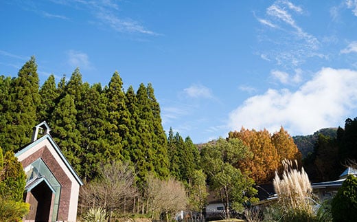 イタリアンレストランOZ お食事券8,000円コース×ペアチケット (2名様分) ふるさと納税 福知山市 特産品 イタリアン 食事券 コース ペアチケット レストラン オズ OZ 【fc-DE009】【イタリアンレストラン＆ウェディング オズ】