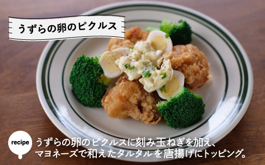 京都・福知山ピクルス (3本セット) ふるさと納税 福知山市 特産品 ピクルス 酢漬け 3本セット 野菜 規格外野菜 万願寺とうがらし うずら卵 ミニトマト 【fc-BV002】【エム・ソーレ】
