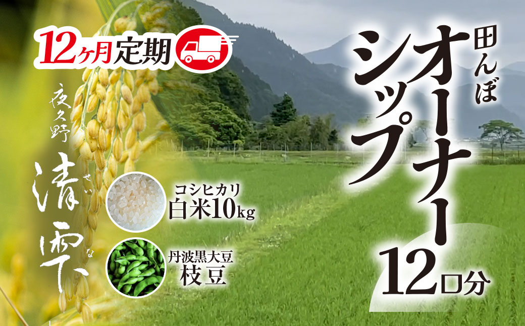 ＜令和8年10月中旬より発送！＞＜12ヶ月定期＞田んぼオーナーシップ 清雫 (12口分・白米10kg・黒ムラサキ) ふるさと納税 福知山市 特産品 田んぼ オーナー制度 米 白米 10kg 12回 120kg 令和8年度産 先行 収穫 定期 夜久野 京都 【fc-DB002-D】【合同会社夜久野清雫】