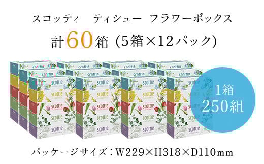 【ボックスティッシュ60箱＋トイレットロール48ロール セット】スコッティ ティシュー フラワーボックス 250組60箱 (1ケース5箱×12パック) と スコッティ フラワーパック3倍長持ち（ダブル）48ロール（4ロール×12パック）/ 日用品 ティッシュ トイレットペーパー セット 消耗品 備蓄 防災 大容量 大人気 おすすめ 肌触り 日本製 たっぷり 国産 クレシア まとめ買い ストック