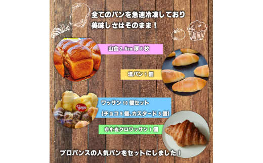 人気パンセット (山食6枚・明太子フィセル1本・ガーリックフィセル1本・京小麦クロワッサン1個・塩パン1個・チョコクロワッサン5個・カスタードクロワッサン5個) ふるさと納税 福知山市 特産品 山食 明太子フィセル ガーリックフィセル 京小麦 クロワッサン 塩パン チョコ カスタード パン セット 詰め合わせ 【fc-EE001】【プロバンス】