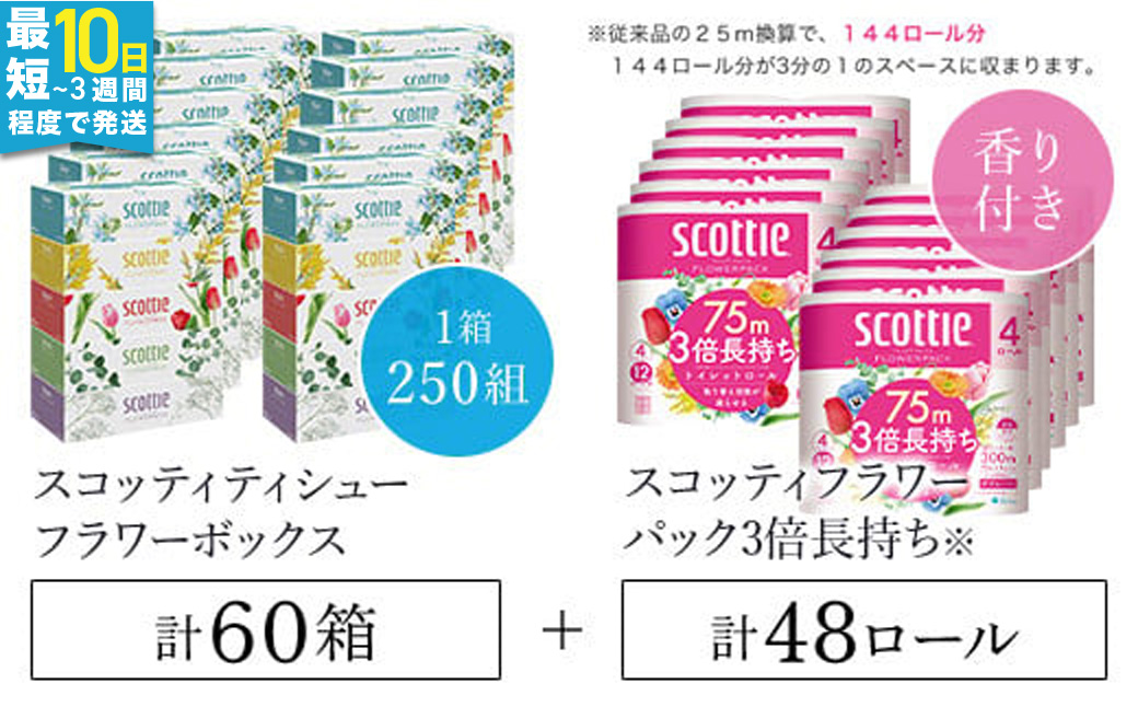 【ボックスティッシュ60箱＋トイレットロール48ロール セット】スコッティ ティシュー フラワーボックス 250組60箱 (1ケース5箱×12パック) と スコッティ フラワーパック3倍長持ち（ダブル）48ロール（4ロール×12パック）/ 日用品 ティッシュ トイレットペーパー セット 消耗品 備蓄 防災 大容量 大人気 おすすめ 肌触り 日本製 たっぷり 国産 クレシア まとめ買い ストック