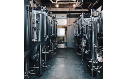 クラフトビール Primary Barrels おまかせ6本セット(350ml×6本) ふるさと納税 福知山市 特産品 Primary Barrels プライマリーバレルズ ビール クラフトビール クラフトビール醸造所 農家醸造 おまかせ6本セット 【fc-EK002】【Primary Barrels】