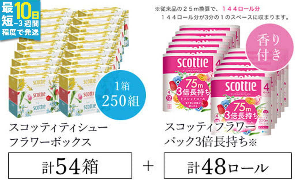 【ボックスティッシュ54箱＋トイレットロール48ロール セット】スコッティ ティシュー フラワーボックス 250組 54箱 (1ケース3箱×18パック) と  スコッティ フラワーパック 3倍長持ち 48ロール （4ロール×12パック）/ 日用品 ティッシュ トイレットペーパー セット 消耗品 備蓄 防災 大容量 大人気 おすすめ 肌触り 日本製 たっぷり 国産 クレシア まとめ買い ストック