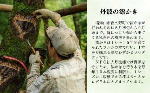 ＜思いやり型返礼品＞NPO法人丹波漆 1年間個人賛助会員 ふるさと納税プラン (年間個人賛助会員1名様分) ふるさと納税 福知山市 特産品 思いやり型返礼品 協賛型型 植樹 丹波漆 漆 ウルシ 支援 NPO支援 NPO 伝統技術 丹波の漆かき 丹波 【fc-TM003】【NPO法人丹波漆】