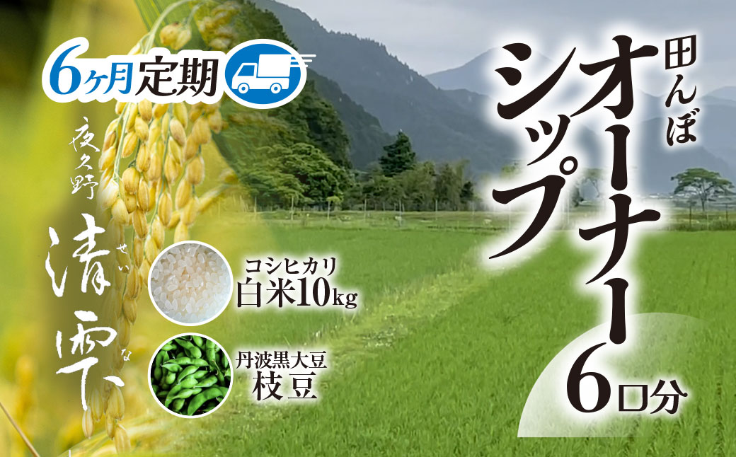 ＜令和8年10月中旬より発送！＞＜6ヶ月定期＞田んぼオーナーシップ 清雫 (6口分・白米10kg・黒ムラサキ) ふるさと納税 福知山市 特産品 田んぼ オーナー オーナー制度 米 白米 10kg 6回 60kg 令和8年度産 先行 収穫 定期 夜久野 京都 【fc-DB002-C】【合同会社夜久野清雫】