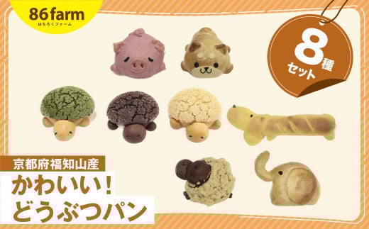かわいい！どうぶつパン ８種セット / パン ぱん どうぶつ 動物 かわいい おやつ お土産 プレゼント ギフト 京都府 福知山市 FCAM012