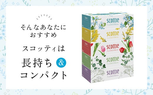 スコッティ ティシュー フラワーボックス 250組 60箱 (1ケース5箱×12パック)  ボックスティッシュ 60箱 ティッシュ ティシュー 長持ち 大容量 リピート 高品質 素敵 保管 クレシア ティッシュペーパー 紙 日用品 消耗品 生活必需品 まとめ買い ふるさと納税 箱ティッシュ 家庭用 防災 常備品 ストック 京都府 福知山市