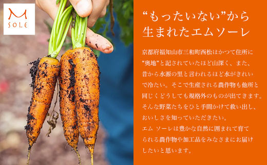 京都・福知山ピクルス (3本セット) ふるさと納税 福知山市 特産品 ピクルス 酢漬け 3本セット 野菜 規格外野菜 万願寺とうがらし うずら卵 ミニトマト 【fc-BV002】【エム・ソーレ】