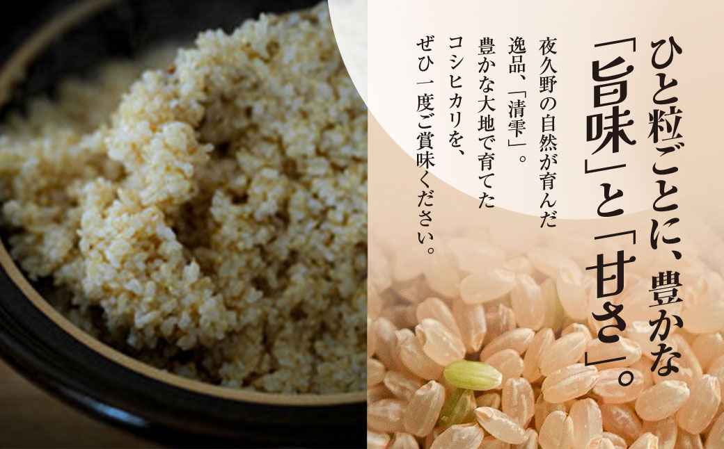 ＜3ヶ月定期便＞＜令和7年産＞ 京都夜久野産 清雫(せいな) コシヒカリ 玄米 (5kg×3回) ふるさと納税 福知山市 特産品 令和7年度産 先行 定期便 選べる 容量 回数 玄米 夜久野 京都 【fc-DB005-B03】【合同会社夜久野清雫】