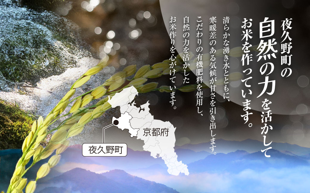 ＜12ヶ月定期便＞＜令和7年産＞ 京都夜久野産 清雫(せいな) コシヒカリ 白米 (10kg×12回) ふるさと納税 福知山市 特産品 令和7年度産 先行 定期便 選べる 容量 回数 白米 精米 夜久野 京都 【fc-DB006-C12】【合同会社夜久野清雫】