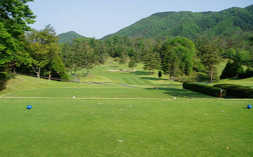 福知山カントリー倶楽部　ゴルフ場利用券　3,000円×３枚＝９千円分  ふるさと納税 ゴルフ利用券 ゴルフ場利用券 ゴルフプレー券 ゴルフ ごるふ 緑 みどり 山 紅葉 自然 鹿 シカ 京都府 福知山市 京都 福知山 奥京都