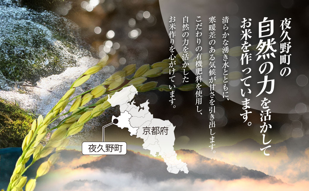 ＜6ヶ月定期便＞＜令和7年産＞ 京都夜久野産 清雫(せいな) コシヒカリ 玄米 (5kg×6回) ふるさと納税 福知山市 特産品 令和7年度産 先行 定期便 選べる 容量 回数 玄米 夜久野 京都 【fc-DB005-B06】【合同会社夜久野清雫】