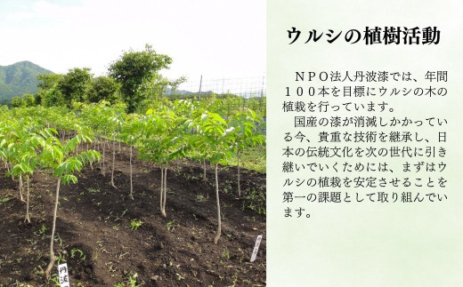 ＜思いやり型返礼品＞NPO法人丹波漆 1年間個人賛助会員 ふるさと納税プラン (年間個人賛助会員1名様分) ふるさと納税 福知山市 特産品 思いやり型返礼品 協賛型型 植樹 丹波漆 漆 ウルシ 支援 NPO支援 NPO 伝統技術 丹波の漆かき 丹波 【fc-TM003】【NPO法人丹波漆】