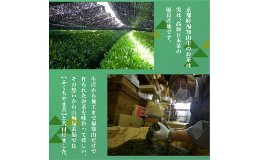 福知山産抹茶をふんだんに使った濃厚抹茶アイスバー (6本) ふるさと納税 福知山市 特産品 アイス アイスバー ふくちやま抹茶 爽やか 濃厚 抹茶味 ソルベ 棒アイス デザート 和スイーツ 福知山茶 碾茶 てんちゃ 【fc-ZD008】【有限会社 山城屋茶舗】