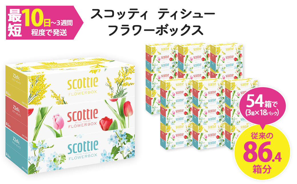 スコッティ ティシュー フラワーボックス 250組 (3箱×18パック・計54箱) ふるさと納税 福知山市 特産品 箱ティッシュ 家庭用 防災 常備品 ストック 【fc-AS002-B】【日本製紙クレシア株式会社】
