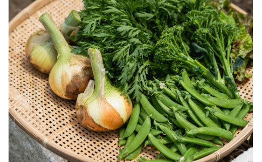 イタリアンレストランOZ お食事券8,000円コース×ペアチケット (2名様分) ふるさと納税 福知山市 特産品 イタリアン 食事券 コース ペアチケット レストラン オズ OZ 【fc-DE009】【イタリアンレストラン＆ウェディング オズ】