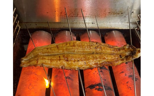  国産 うなぎ わっぱ飯 130g×4個  ふるさと納税 うなぎ 鰻 国産 わっぱめし 京都府 福知山市