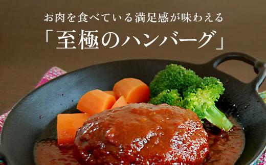 肉ソムリエ監修！A5ランク100%黒毛和牛ハンバーグ(140g×5個) ふるさと納税 福知山市 特産品 ハンバーグ はんばーぐ A5ランク 黒毛和牛 和牛 牛肉 肉 お肉 人気 詰め合わせ 冷凍 惣菜 弁当 【fc-AX002】【肉のABCフーズ福知山店】