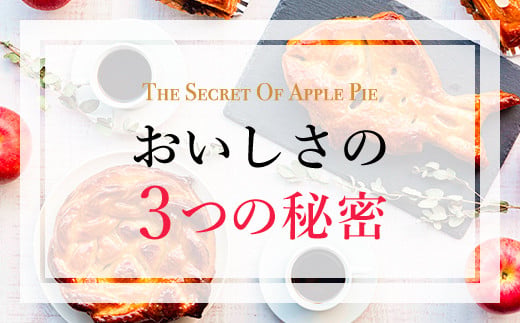 手作りアップルカスタードパイ(食べきりサイズ4個入り) ふるさと納税 福知山市 特産品 人気 スイーツ アップルパイ りんご 菓子 誕生日 お祝い ギフト お食い初め お取り寄せ お中元 お歳暮 母の日 贈り物 【fc-CF003】【アップルパイの店 シャルム】