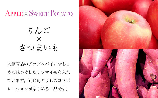 手作りアップルおさつパイ(食べきりサイズ4個入り) ふるさと納税 福知山市 特産品 人気 スイーツ アップルパイ 菓子 誕生日 お祝い ギフト お取り寄せ お中元 お歳暮 母の日 贈り物 【fc-CF006】【アップルパイの店 シャルム】