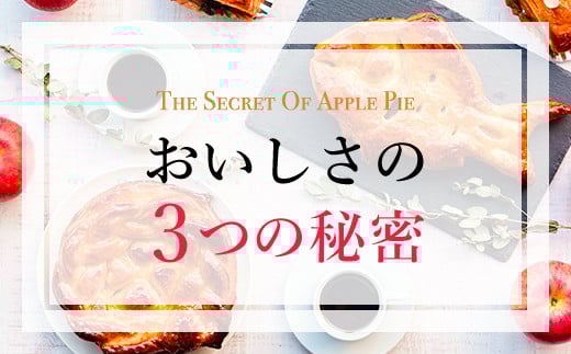 手作りアップルパイ(食べきりサイズ4個入り) ふるさと納税 福知山市 特産品 人気 スイーツ アップルパイ 菓子 お食い初め 誕生日 お祝い ギフト お取り寄せ お中元 お歳暮 母の日 贈り物 【fc-CF001】【アップルパイの店 シャルム】