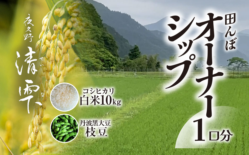 ＜令和8年10月中旬より発送！＞田んぼオーナーシップ 清雫 (1口分・白米10kg・黒ムラサキ) ふるさと納税 福知山市 特産品 田んぼ オーナー オーナー制度 米 白米 10kg 令和8年度産 先行 収穫 夜久野 京都 【fc-DB002-A】【合同会社夜久野清雫】
