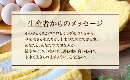 米粉のシフォンケーキ (約80g×8個) ふるさと納税 福知山市 特産品 シフォンケーキ ケーキ 米粉 スイーツ グルテンフリー 【fc-AA005】【ニコリナ】