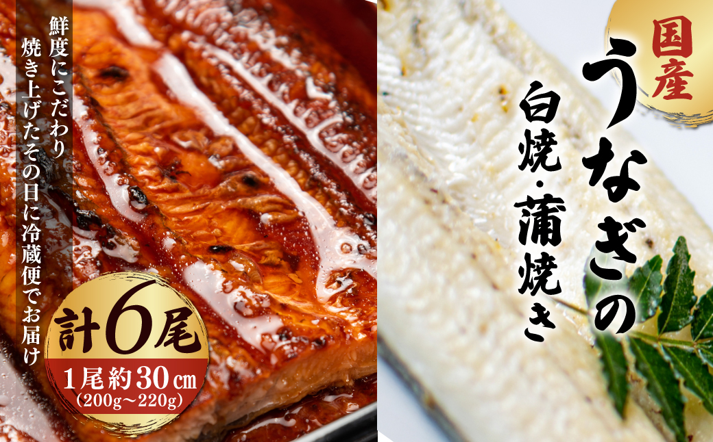 「国産うなぎの蒲焼き」×「国産うなぎの白焼き」 計6尾セット（各3尾）【凍らさず美味しさそのまま！〆たて・焼きたてを冷”蔵”で発送】地元飲食店に愛される、美味さにこだわった「国産うなぎの蒲焼き」×「国産うなぎの白焼き」 計6尾セット 特上 うなぎ 蒲焼 ウナギ 鰻蒲焼き うなぎ蒲焼き 白焼き 6尾 国産 浜名湖 関西 鰻蒲焼 養殖 冷蔵 ギフト ご褒美 人気 京都　京都府 福知山市 FCF019