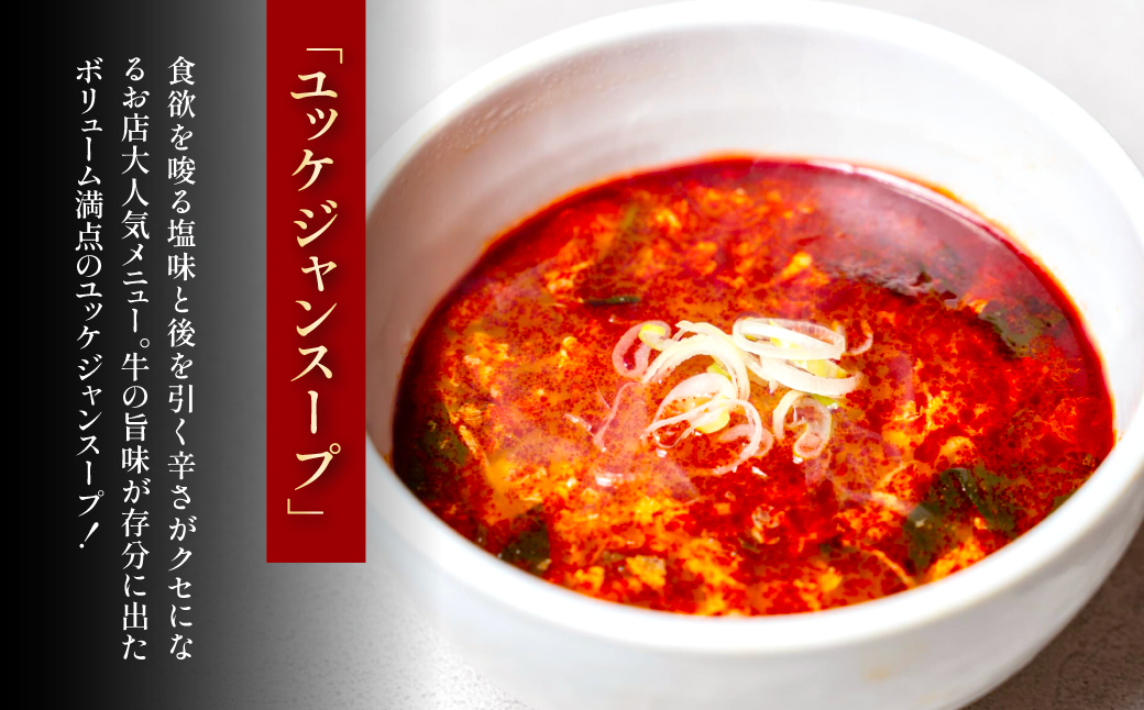 ユッケジャンスープ（500g）2パック FCEO010