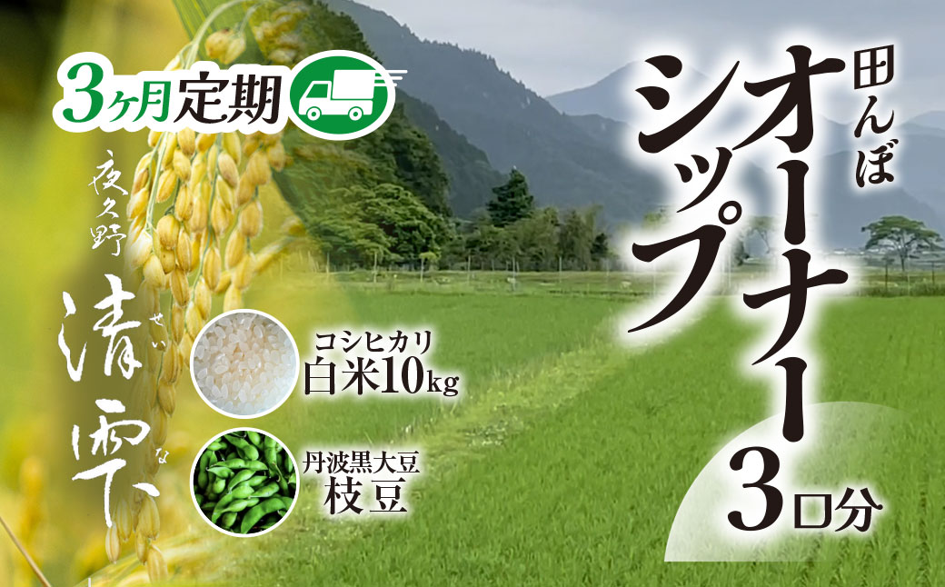 ＜令和8年10月中旬より発送！＞＜3ヶ月定期＞田んぼオーナーシップ 清雫 (3口分・白米10kg・黒ムラサキ) ふるさと納税 福知山市 特産品 田んぼ オーナー オーナー制度 米 白米 10kg 3回 30kg 令和8年度産 先行 収穫 定期 夜久野 京都 【fc-DB002-B】【合同会社夜久野清雫】