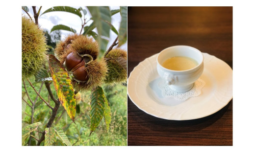 丹波栗のボタージュと季節野菜を使った濃厚食べるポタージュ3パックセット(丹波栗のポタージュ×1・季節のポタージュ×2) ふるさと納税 福知山市 特産品 スープ ポタージュ 福知山産 丹波栗 丹波栗のポタージュ 野菜 超濃厚 食べるポタージュ 2種 セット ギフト フレンチ ビストロq 【fc-EL005】【Bistrot q】