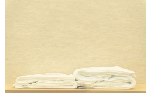 ＜京都府唯一のタオル製造メーカー直送＞たおる小町 白おしぼりハンドタオル (10枚セット) ふるさと納税 福知山市 特産品 たおる小町 タオル シンプル ハンドタオル おしぼり 綿100％ 便利 家庭用 普段使い 吸水性 肌触り 清潔 乾きやすい 【fc-ZH006】【三和タオル製織株式会社】