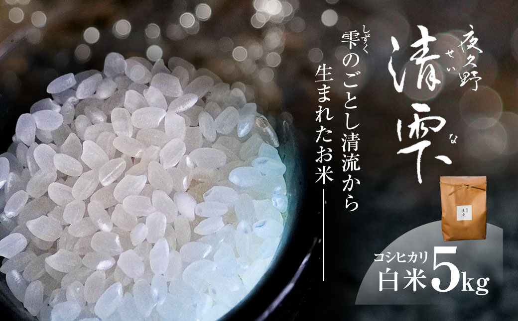 ＜令和7年産＞ 京都夜久野産 清雫(せいな) コシヒカリ 白米 (5kg) ふるさと納税 福知山市 特産品 令和7年度産 先行 定期便 選べる 容量 回数 白米 精米 夜久野 京都 【fc-DB006-B】【合同会社夜久野清雫】