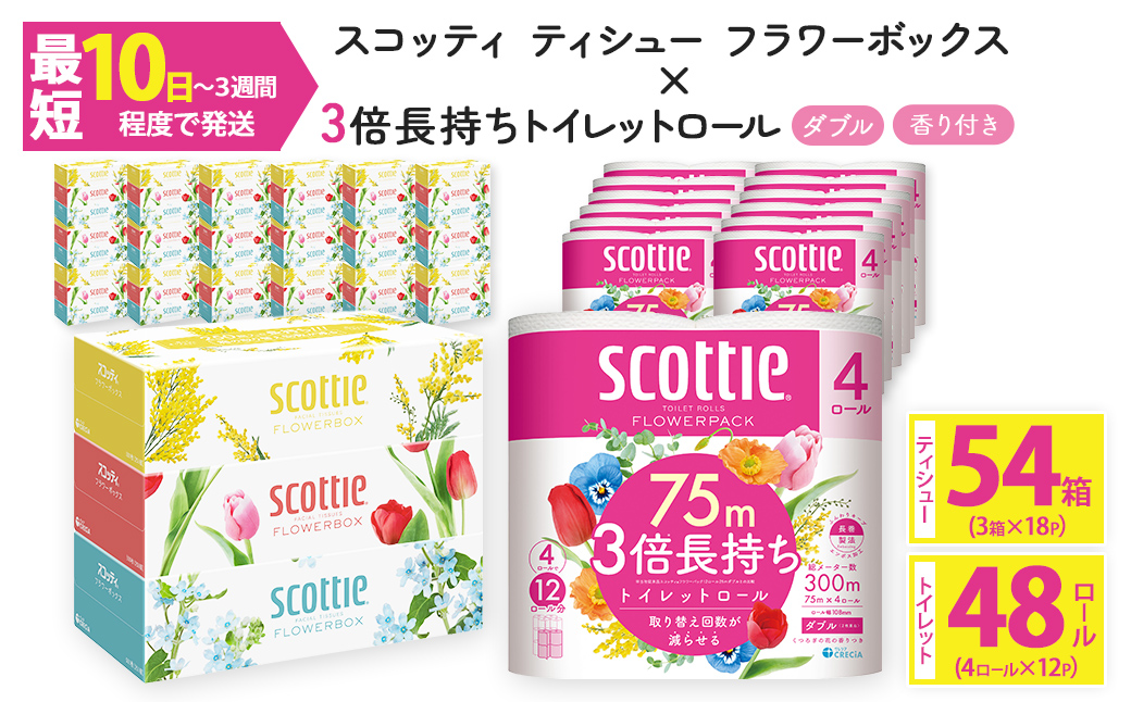 ＜ボックスティッシュ＆トイレットロールセット＞スコッティ ティシュー フラワーボックス 250組 54箱＆スコッティ フラワーパック 3倍長持ち 48ロール (ティッシュ：3箱×18パック・トイレットロール：4ロール×12パック) ふるさと納税 福知山市 特産品 日用品 ティッシュ トイレットペーパー セット 消耗品 備蓄 防災 大容量 大人気 おすすめ 肌触り 日本製 たっぷり 国産 クレシア まとめ買い ストック 【fc-AS004-B】【日本製紙クレシア株式会社】