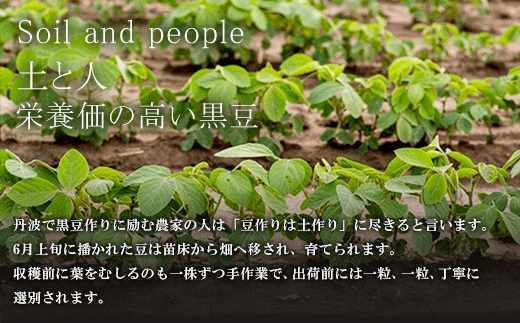 丹波黒豆煮 (250g×2本・箱入り) ふるさと納税 福知山市 特産品 黒豆 黒豆煮 煮豆 お正月 おせち 豆 まめ お菓子 おつまみ お取り寄せ 【fc-AI004】【夜久野物産株式会社】