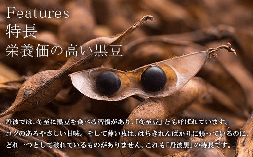 丹波黒豆煮 (250g×2本・箱入り) ふるさと納税 福知山市 特産品 黒豆 黒豆煮 煮豆 お正月 おせち 豆 まめ お菓子 おつまみ お取り寄せ 【fc-AI004】【夜久野物産株式会社】