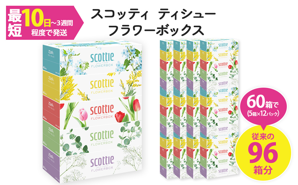スコッティ ティシュー フラワーボックス 250組 (5箱×12パック・計60箱) ふるさと納税 福知山市 特産品 箱ティッシュ 家庭用 防災 常備品 ストック 【fc-AS002-A】【日本製紙クレシア株式会社】