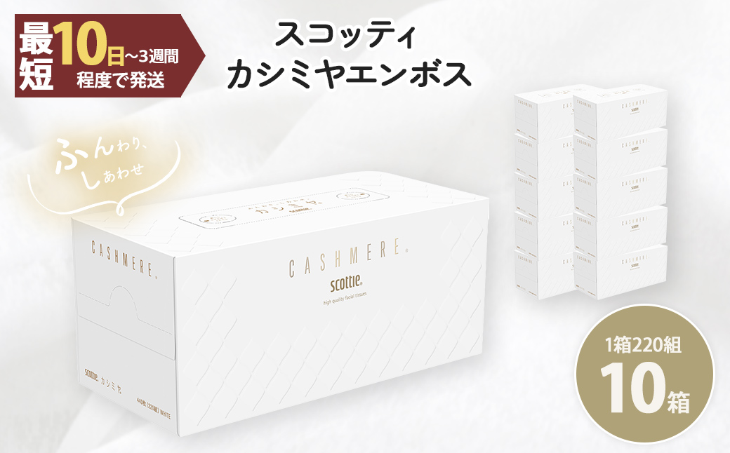 スコッティカシミヤエンボス (10箱) ふるさと納税 福知山市 特産品 ティッシュ ボックスティッシュ スコッティ カシミヤ 10箱 ロングセラー プレミアム ティシュー 大容量 長持ち 日用品 保湿 人気 日本製 まとめ買い 備蓄 常備品 スキンケア ふんわり感 やさしさ 肌 【fc-AS003】【日本製紙クレシア株式会社】