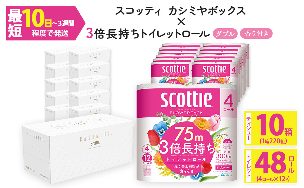 ＜ボックスティッシュ＆トイレットロールセット＞スコッティ カシミヤエンボス 10箱＆スコッティ フラワーパック 3倍長持ち ダブル 48ロール (カシミヤエンボス：10箱・フラワーパック：4ロール×12パック) ふるさと納税 福知山市 特産品 日用品 ティッシュ トイレットペーパー セット 消耗品 備蓄 防災 大容量 大人気 おすすめ 肌触り 日本製 たっぷり 国産 クレシア まとめ買い ストック 【fc-AS008】【日本製紙クレシア株式会社】