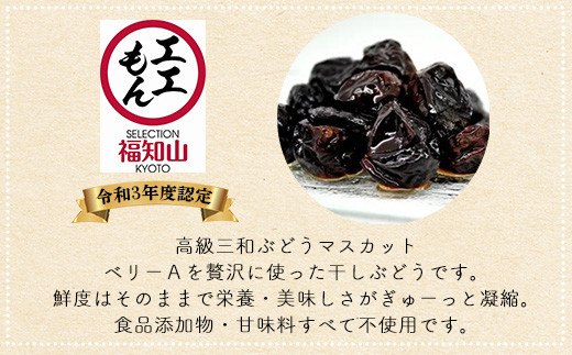 京都三和・丹波ぶどう＜マスカットベリーA>ほしぶどう（ドライ）100g 1パック  ふるさと納税 ドライフルーツ ほしぶどう 干しブドウ レーズン ドライレーズン 三和ぶどう マスカットベリーA 100g  手作り 三和町 特産 丹波 京都府 福知山市 FCCO007