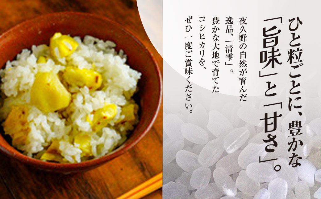 ＜3ヶ月定期便＞＜令和7年産＞ 京都夜久野産 清雫(せいな) コシヒカリ 白米 (3kg×3回) ふるさと納税 福知山市 特産品 令和7年度産 先行 定期便 選べる 容量 回数 白米 精米 夜久野 京都 【fc-DB006-A03】【合同会社夜久野清雫】