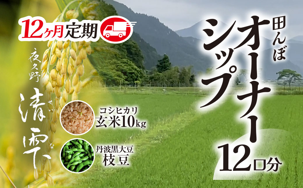 ＜令和8年10月中旬より発送！＞＜12ヶ月定期＞田んぼオーナーシップ 清雫 (12口分・玄米10kg・黒ムラサキ) ふるさと納税 福知山市 特産品 田んぼ オーナー オーナー制度 米 玄米 10kg 12回 120kg 令和8年度産 先行 収穫 定期 夜久野 京都 【fc-DB001-D】【合同会社夜久野清雫】