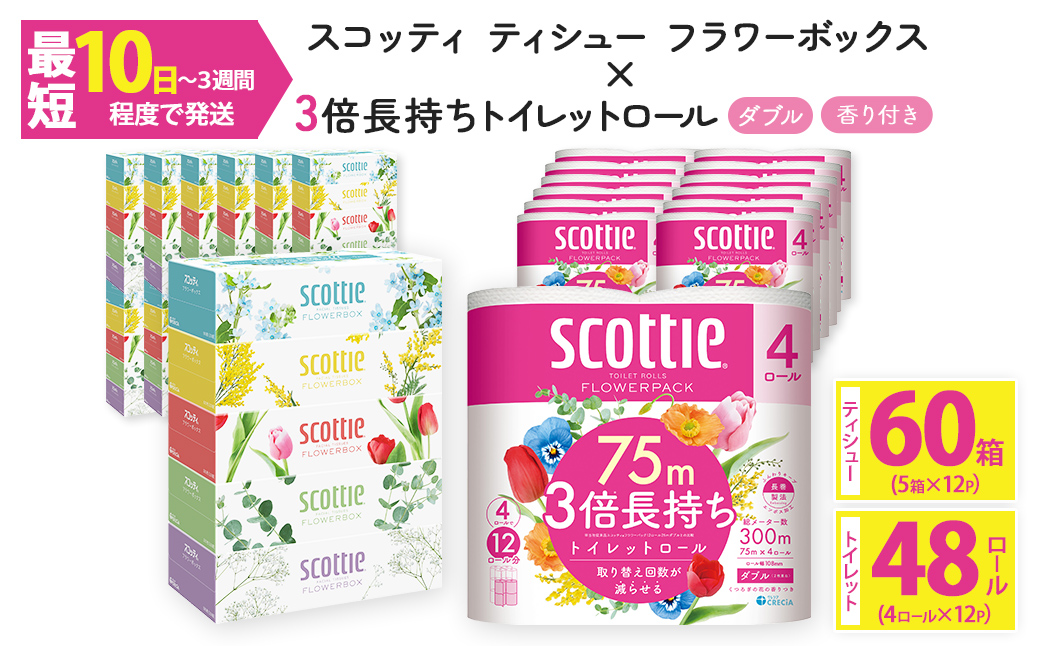 ＜ボックスティッシュ＆トイレットロールセット＞スコッティ ティシュー フラワーボックス 250組 60箱＆スコッティ フラワーパック 3倍長持ち ダブル 48ロール (ティッシュ：5箱×12パック・トイレットロール：4ロール×12パック) ふるさと納税 福知山市 特産品 日用品 ティッシュ トイレットペーパー セット 消耗品 備蓄 防災 大容量 大人気 おすすめ 肌触り 日本製 たっぷり 国産 クレシア まとめ買い ストック 【fc-AS004-A】【日本製紙クレシア株式会社】