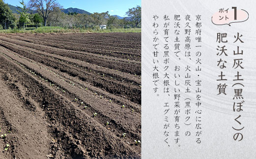 京éœã»å€ä¹
éé«åã®é»ãã¯ã§è²ã£ãåå¹²ãå€§æ ¹140gÃ2è¢ãåä¿¡åŸã®ãã ããéèã/ FCDP001 ãµãããšçŽçš åå¹²ãå€§æ ¹ åãå¹²ãå€§æ ¹ åå¹²å€§æ ¹ åå¹² é»ãã¯å€§æ ¹ é»ãã¯ å€§æ ¹ å€ä¹
éé«å å€ä¹
é å蟲家 ãããã åé£ äº¬éœåº çŠç¥å±±åž