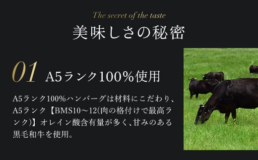 肉ソムリエ監修！A5ランク100%黒毛和牛ハンバーグ(140g×5個) ふるさと納税 福知山市 特産品 ハンバーグ はんばーぐ A5ランク 黒毛和牛 和牛 牛肉 肉 お肉 人気 詰め合わせ 冷凍 惣菜 弁当 【fc-AX002】【肉のABCフーズ福知山店】